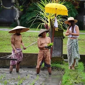 Villa Umae, Ubud